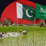Pakistan Saudi agriculture investment