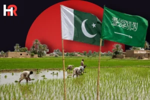 Pakistan Saudi agriculture investment