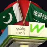 Wafi Energy Pakistan profit 2025