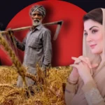 Chief Minister Punjab Maryam Nawaz presiding over a cabinet meeting; farmers tilling agricultural land in Punjab.