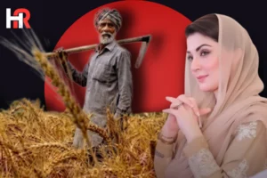 Chief Minister Punjab Maryam Nawaz presiding over a cabinet meeting; farmers tilling agricultural land in Punjab.