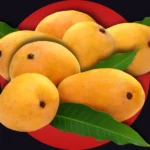 Pakistan mango harvest 2026