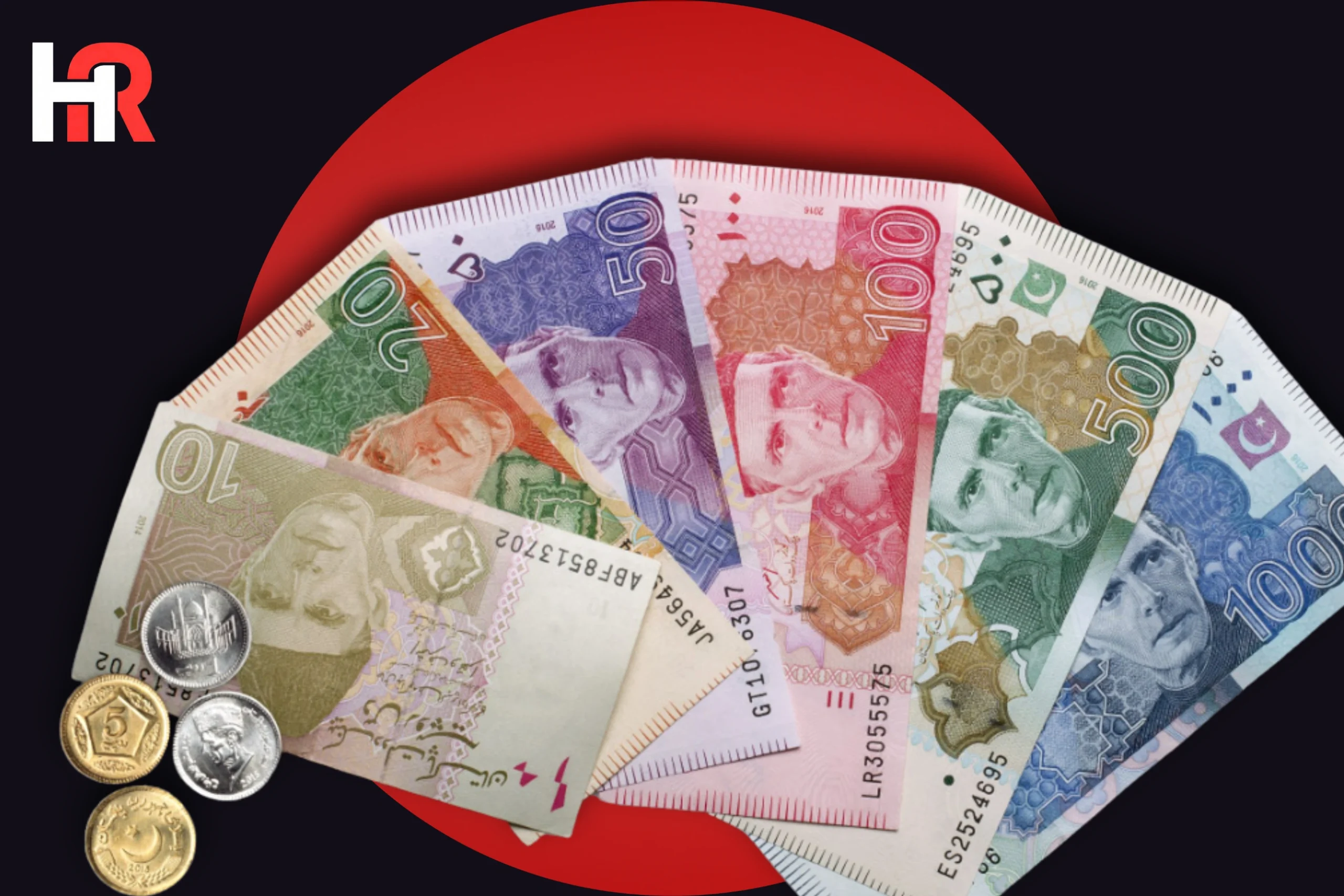 Pakistan household savings rate low PIDE