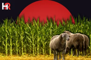 Pakistan Economic Survey 2025-26 agriculture growth rate