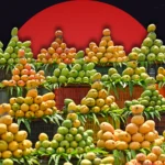 Pakistan mango export target slashed 2026