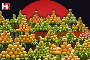 Pakistan mango export target slashed 2026