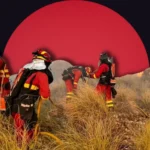 11 Tourists and Locals Perish Fleeing Almería Blaze in Spain Amid Early Heatwave.