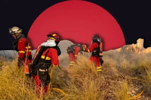 11 Tourists and Locals Perish Fleeing Almería Blaze in Spain Amid Early Heatwave.