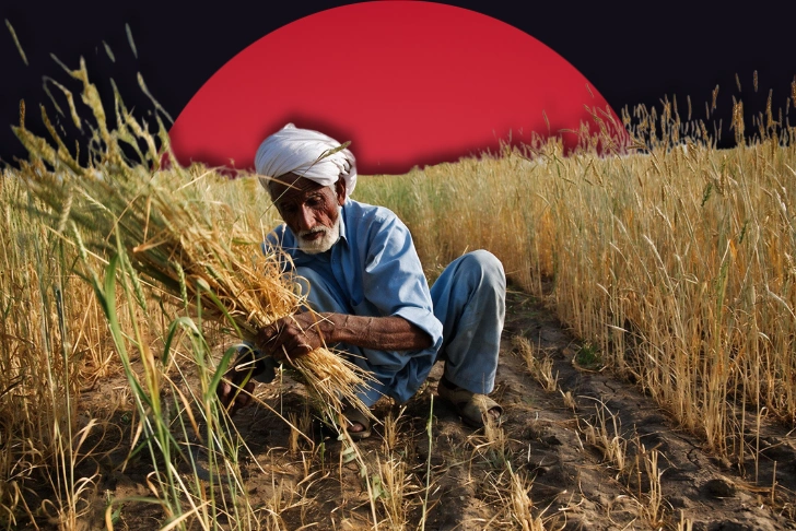Pakistan wheat shortage import requests PASSCO