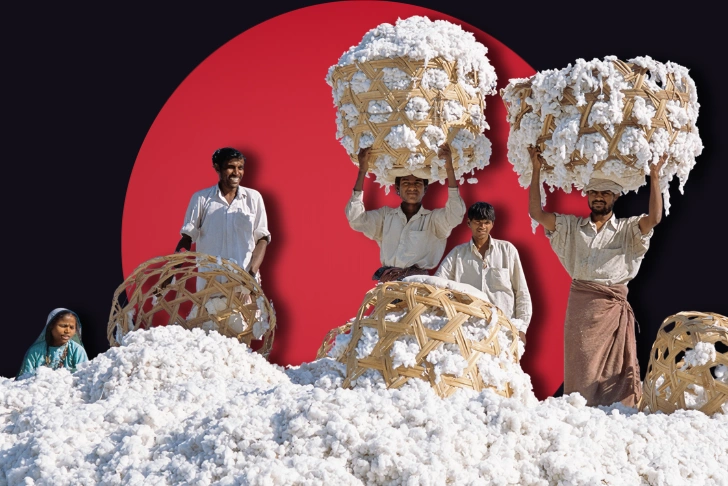 Pakistan cotton industry faces uphill battle for revival