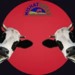Nishat Mills To Divest 49.1% Stake In Nishat Sutas Dairy To Turkish Partner.