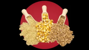 China NDRC TRQ import limits wheat corn rice cotton 2027