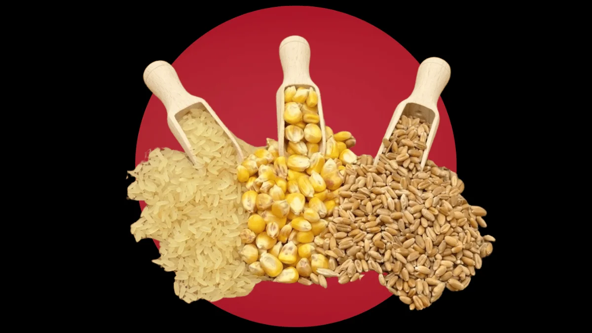 China NDRC TRQ import limits wheat corn rice cotton 2027