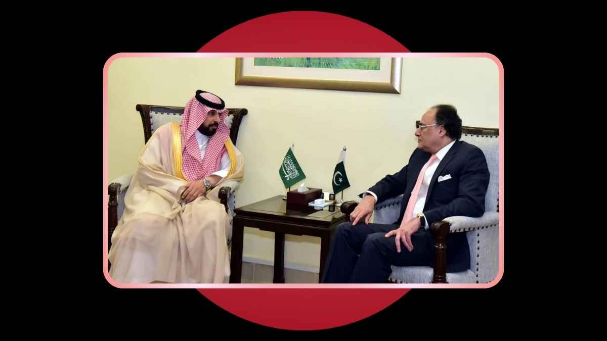 Pakistan Saudi investment agriculture mining 2026