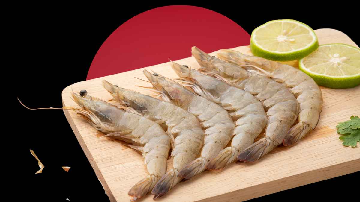 Pakistan shrimp farming roadmap 120-day deadline aquaculture